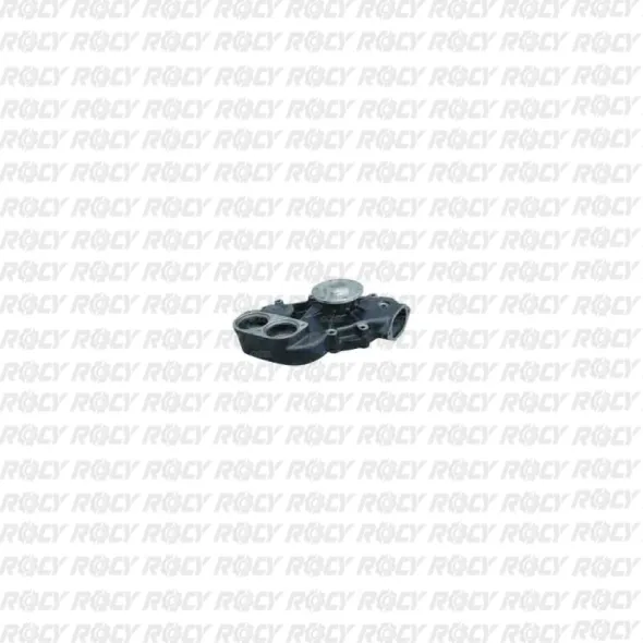 R 01 01-1296